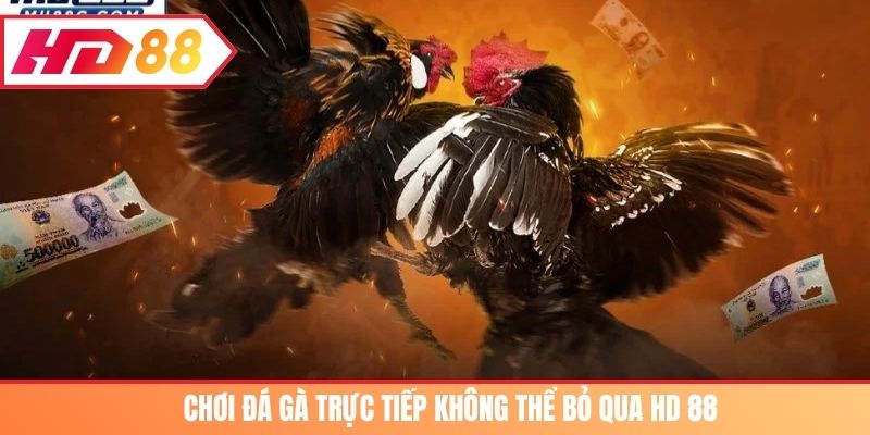 Chơi đá gà trực tiếp không thể bỏ qua HD 88