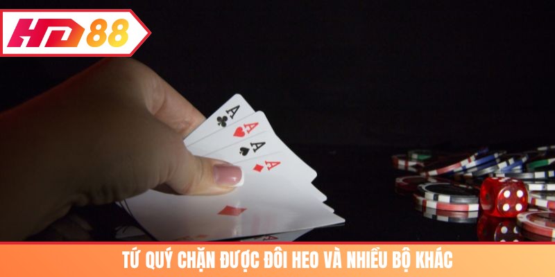 Tứ quý chặn được đôi heo và nhiều bộ khác