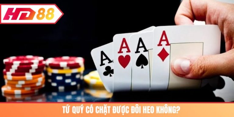 tứ quý có chặt được đôi heo không