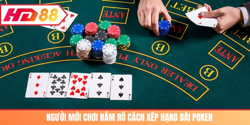 Người mới chơi nắm rõ cách xếp hạng bài Poker
