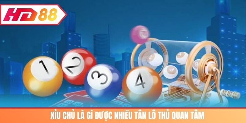 Xỉu chủ là gì được nhiều tân lô thủ quan tâm