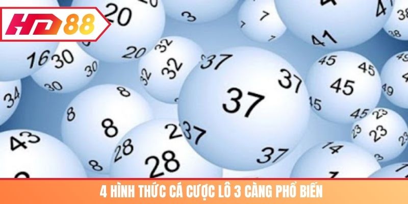4 hình thức cá cược lô 3 càng phổ biến