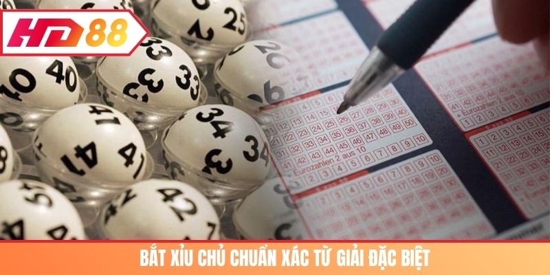 Bắt xỉu chủ chuẩn xác từ giải đặc biệt