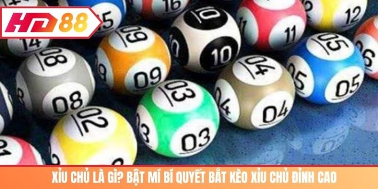 xỉu chủ là gì